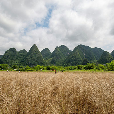 Luxury Fishing Expeditions in Guilin’s Pristine Waters