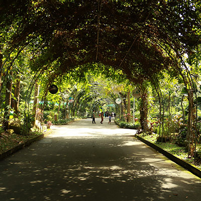The Best Anti-Theft Bags for Guilin’s Busy Streets