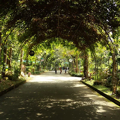 The Best Anti-Theft Bags for Guilin’s Busy Streets