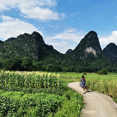 Seven Star Park’s Lush Greenery and Gardens